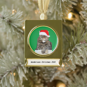 Weihnachtskatze Humbug Foto Banner Metal Ornament
