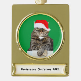Weihnachtskatze Humbug Foto Banner Metal Ornament