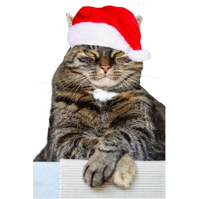 Weihnachtskatze Humbug Foto Skulptur Ornament (Vorne)