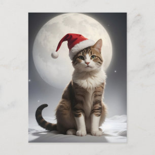Weihnachtskatze in der Nacht Postkarte