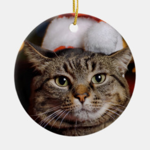 Weihnachtskatze Keramik Ornament