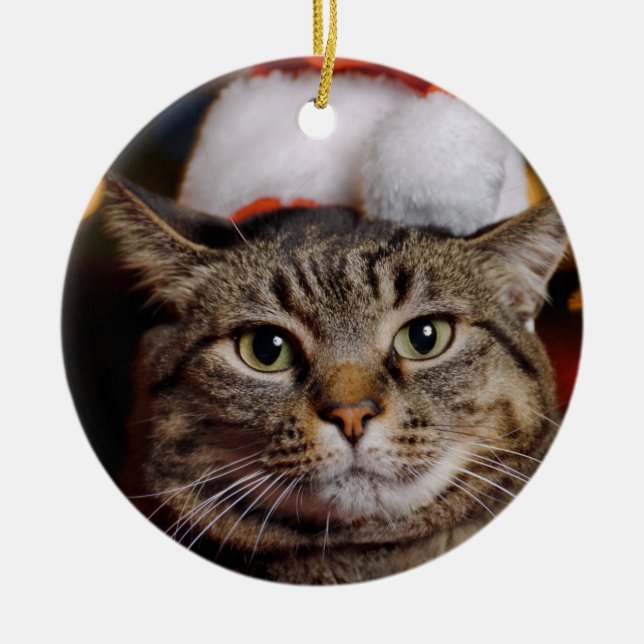 Weihnachtskatze Keramik Ornament (Vorne)