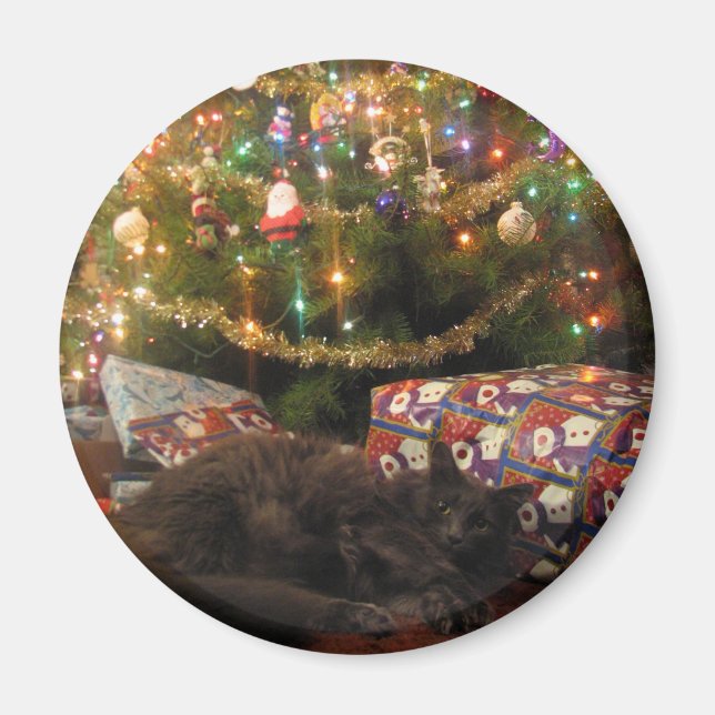 Weihnachtskatze Magnet (Vorne)