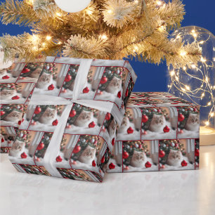 Weihnachtskatze mit rotem Ornament Geschenkpapier