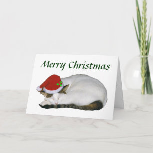 Weihnachtskatze Nickerchen Card Feiertagskarte