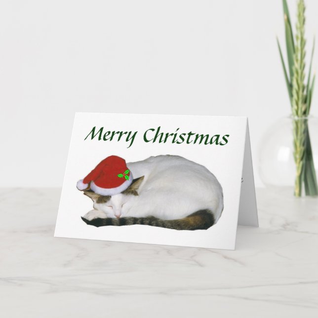 Weihnachtskatze Nickerchen Card Feiertagskarte (Vorderseite)