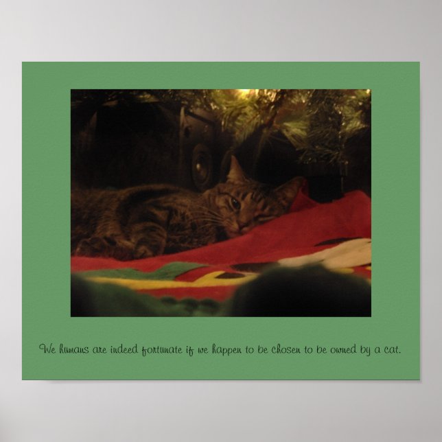 Weihnachtskatze Poster (Vorne)