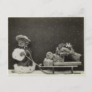 Weihnachtskatze Postkarte