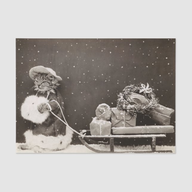 Weihnachtskatze Pulling a Sled of Presents Seidenpapier (Vorderseite)