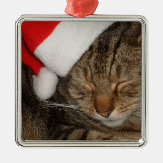 Weihnachtskatze Silbernes Ornament