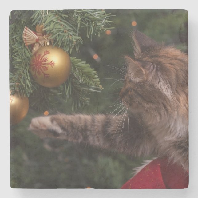 Weihnachtskatze Steinuntersetzer (Vorderseite)