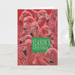 Weihnachtskatze und Flamboyance von rosa Flamingos Dankeskarte