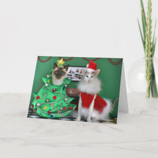 Weihnachtskatzen Feiertagskarte