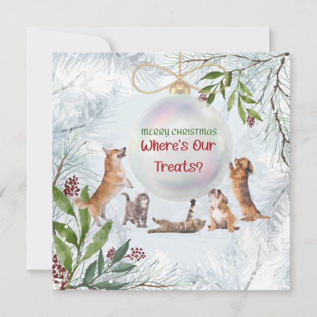 Weihnachtskatzen und Hunde: Niedliche Tiere Card (Vorderseite)
