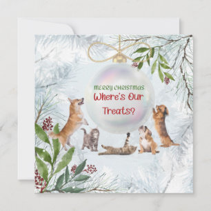 Weihnachtskatzen und Hunde: Niedliche Tiere Card