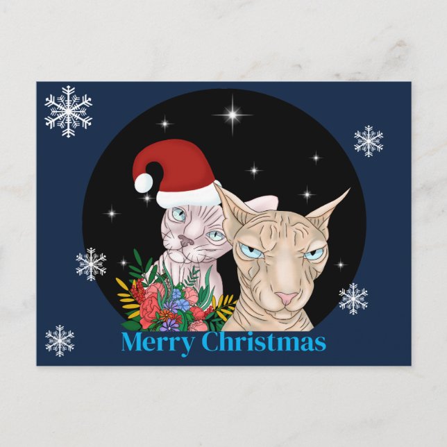 Weihnachtskatzen unter dem Sternenhimmel Postkarte (Vorderseite)