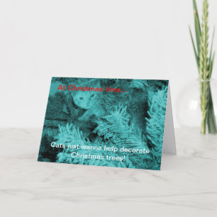 Weihnachtskatzen wollen Grußkarte Feiertagskarte