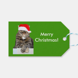 Weihnachtskatzenjammer Foto in Weihnachtsmannmütze Geschenkanhänger