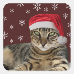 Weihnachtskatzenkleber Quadratischer Aufkleber