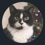 Weihnachtskatzenkleber Runder Aufkleber<br><div class="desc">Fügen Sie Ihren Umschlägen und Paketen ein wenig Feiertagsstimmung hinzu!</div>