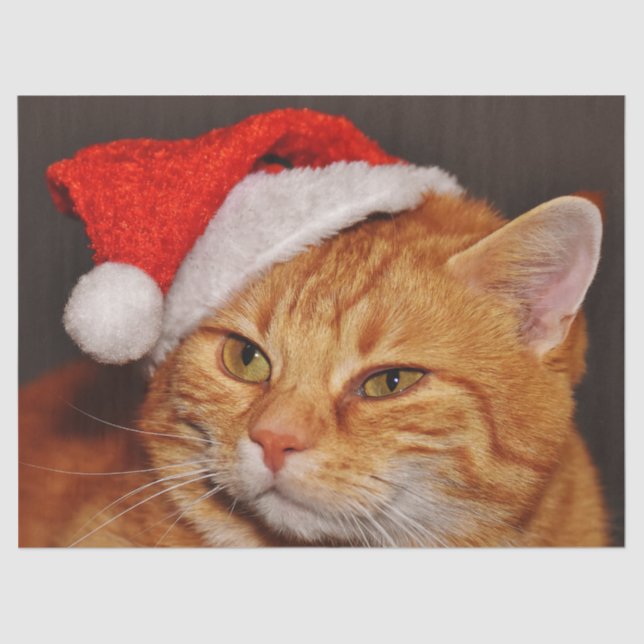 Weihnachtskatzenpapier Seidenpapier (Vorderseite)