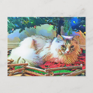 Weihnachtskatzenpostkarte Postkarte
