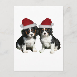Weihnachtskavaliere Feiertagspostkarte