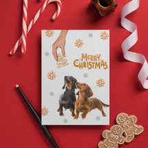 Weihnachtskekse Dachshund Welpen Hund
