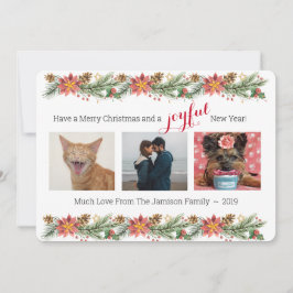 Weihnachtskiefer und Poinsettias - Freude