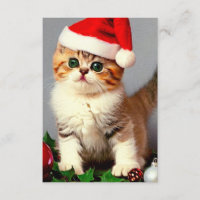 Weihnachtskitten in Weihnachtsmannmütze