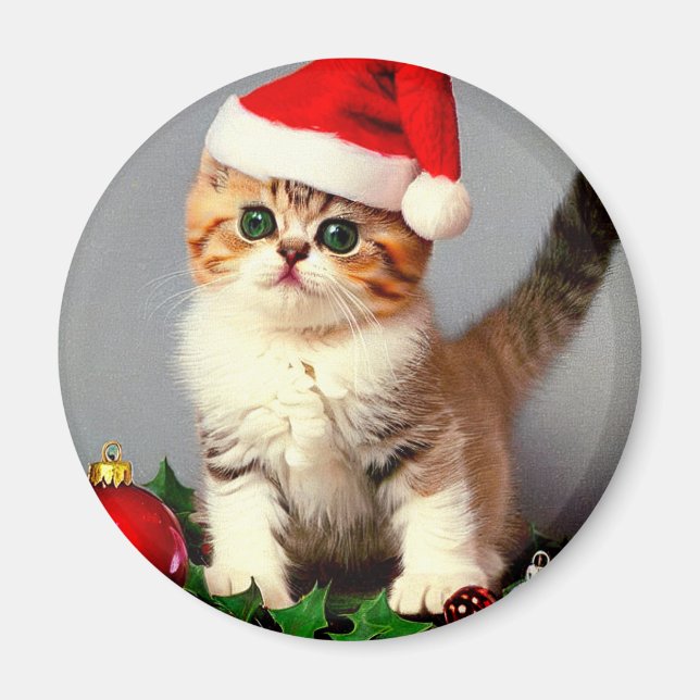 Weihnachtskitten in Weihnachtsmannmütze Magnet (Vorne)