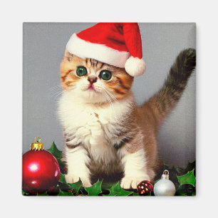 Weihnachtskitten in Weihnachtsmannmütze Magnet