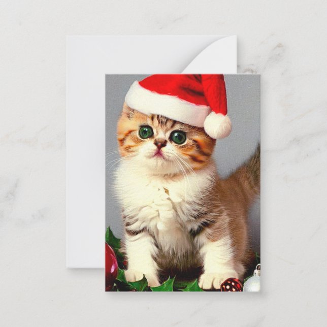 Weihnachtskitten in Weihnachtsmannmütze Mitteilungskarte (Vorderseite)