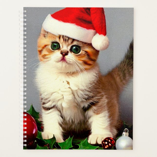 Weihnachtskitten in Weihnachtsmannmütze Planer (Vorderseite)