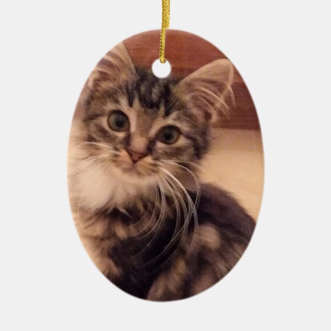 Weihnachtskitten Ornament Tree Kat Kitty Holiday (Vorne)