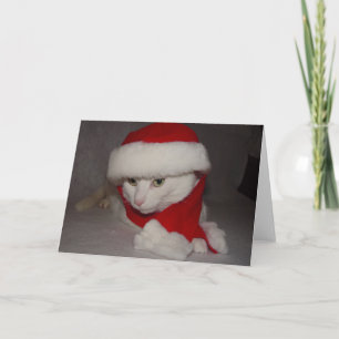 Weihnachtskitty Feiertagskarte