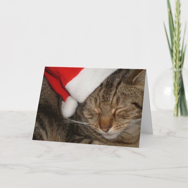 Weihnachtskitty Feiertagskarte (Vorderseite)