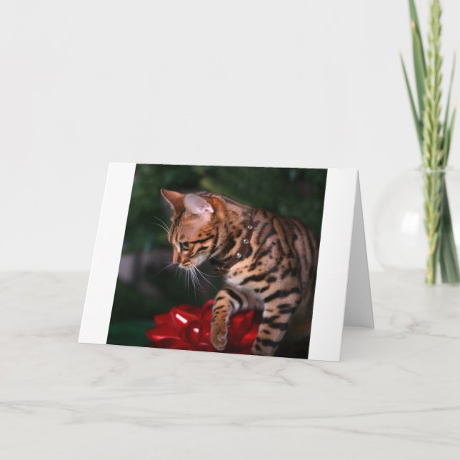 Weihnachtskitty-Foto (inländische bengalische Feiertagskarte (Vorderseite)