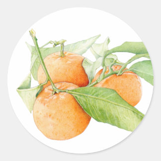 Weihnachtsklementsticker Runder Aufkleber