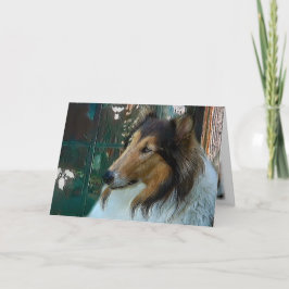 Weihnachtskollie am Fenster Feiertagskarte