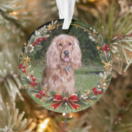Weihnachtskranz mit individuellem Haustierfoto Ornament