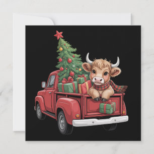 Weihnachtskühe Hochlandkuh in Lkw-Farm Weihnachten