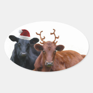 Weihnachtskühe in Weihnachtsmannmütze und Antler Ovaler Aufkleber