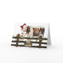 Weihnachtskühe mit Weihnachtsmannmütze