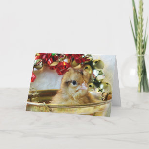 Weihnachtsküken Feiertagskarte