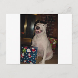 Weihnachtslächeln Bulle Terrier Feiertagspostkarte