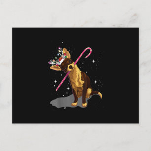 Weihnachtslichter Chihuahua Ankündigungspostkarte