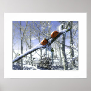 Weihnachtslieder Poster