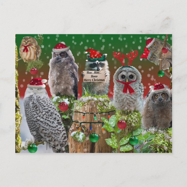 Weihnachtslieder und Raccoon Feiertagspostkarte (Vorderseite)