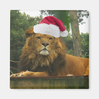Weihnachtslion-Wear-Weihnachtsmannmütze Magnet